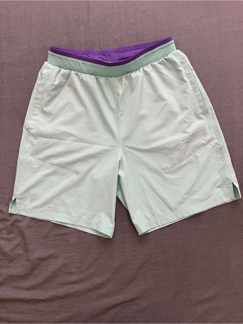 Fabletics Men's Mint Athletic Shorts with Purple Waistband